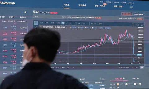 Hàng nghìn nhà đầu tư Hàn Quốc đặt cược vào sự hồi sinh của Luna