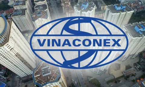 Vinaconex đạt 931 tỷ đồng lợi nhuận trước thuế trong 9 tháng đầu năm 2024